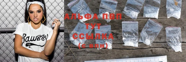 спайс Бородино