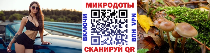 Галлюциногенные грибы мицелий  Топки 